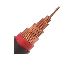 N2XY Cable( 0.6/1 kV CU/XLPE/PVC Power Cable)