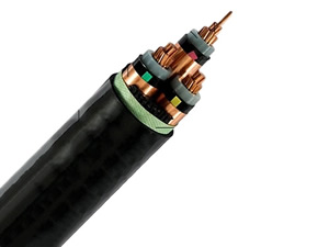 N2XSEY Cable( 6/10kV 8.7/15kV 12/20kV 18/30kV CU/XLPE/CTS/PVC Power Cable)