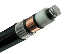 NA2XSRY Cable( 6/10kV 8.7/15kV 12/20kV 18/30kV AL/XLPE/SWA/PVC Single Core Power Cable)