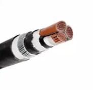  China Electrical Insulated Power Cable Copper Aluminum Conductor 1 Cores 3 Cores supplier