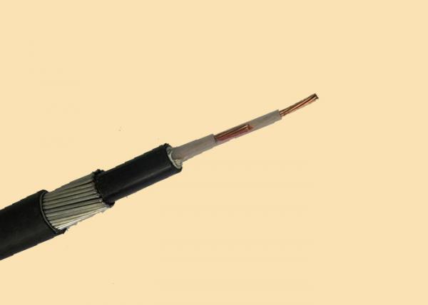  China 0.6/1KV Aerial Split Concentric Cable / Service Cable 1×16/16mm2 supplier