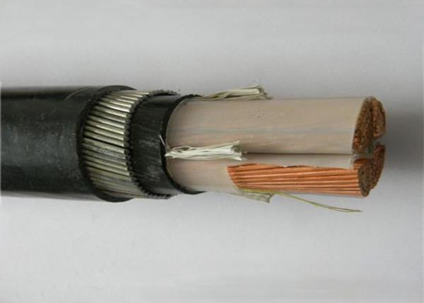  China 16 Mm Pvc Insulation XLPE Insulated Power Cable For CSA Standard supplier