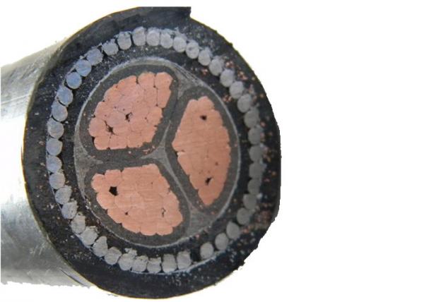  China 1kv 10mm 6mm 3 Core Armoured Cable 150sqmm Compacted Aluminium Conductor supplier