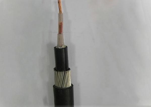  China 50mm Copper Conductor LV Power Cable XLPE Insulation 2 Core Copper Cable supplier