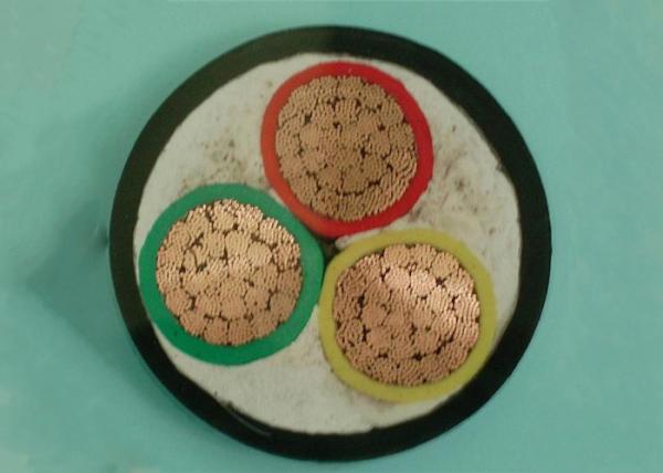  China Low Voltage Cu 3 Core Copper Conductor Pvc Power Cable 3x50mm2 supplier