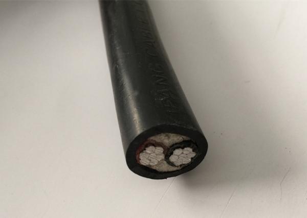  China XLPE Insulation 2 Core Low Voltage Cable Fire Resistant 25mm 2 Core Armoured Cable supplier