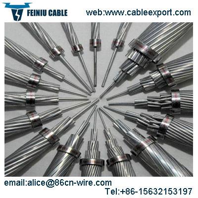  China Aluminium Conductor Steel Reinforced(ACSR) supplier