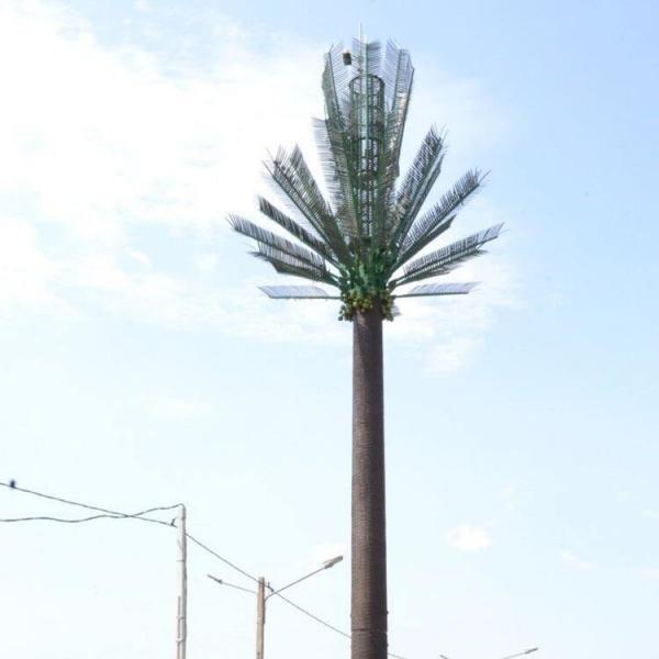  China Camouflaged Communication Pine Palm Tree Tower 0m – 80m Height supplier