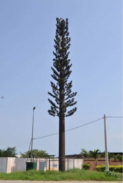 Palm Tree Camouflage Steel Pole Tower 10 – 80m Height