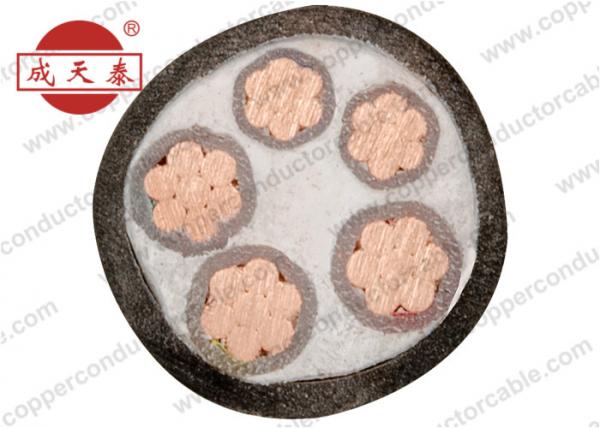 0.6/1 KV 3+2 Core XLPE Insulated Power Cable PVC Sheathed Unarmoured & Armoured