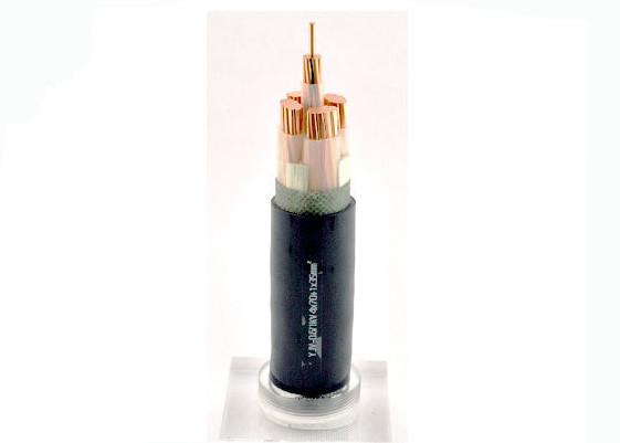  China 2*185 Sq. Mm XLPE Insulated Power Cable For Subscriber Networks Eco Friendly supplier