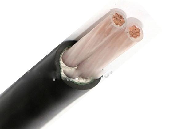  China 2 Core 0.6/1 kV XLPE Insulated Power Cable PVC Sheathed Fireproof supplier