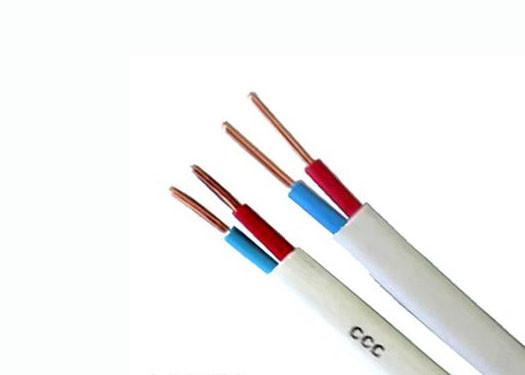  China 300/500 V Two Cores Electrical Wire , Copper Conductor Electrical Cable supplier