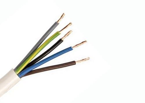  China Electric cable 318-Y / H05VV-F Cable 5×2.5 sq. mm Flexible cable, insulation and outer sheath in PVC, domestic use supplier