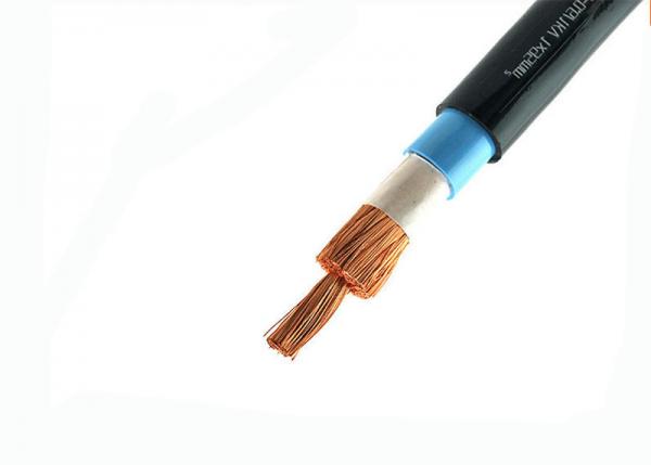  China Heavy Duty PVC Insulated Power Cable 1*10 Sq. Mm 600 / 1000 V Eco Friendly supplier