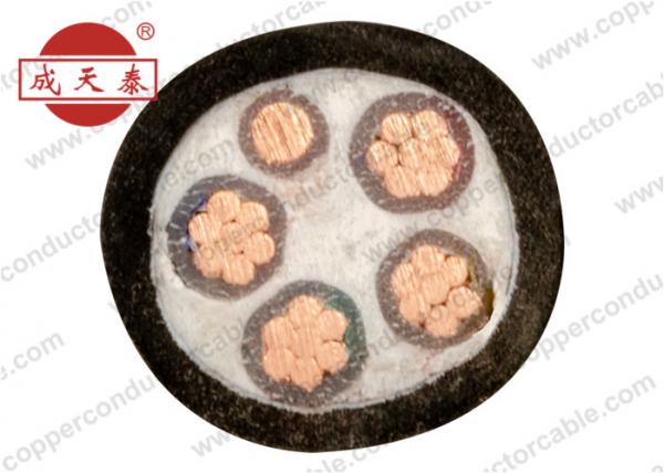 IEC 60502 XLPE Insulated PVC Sheathed Cable / Multi Core Electrical Power Cable