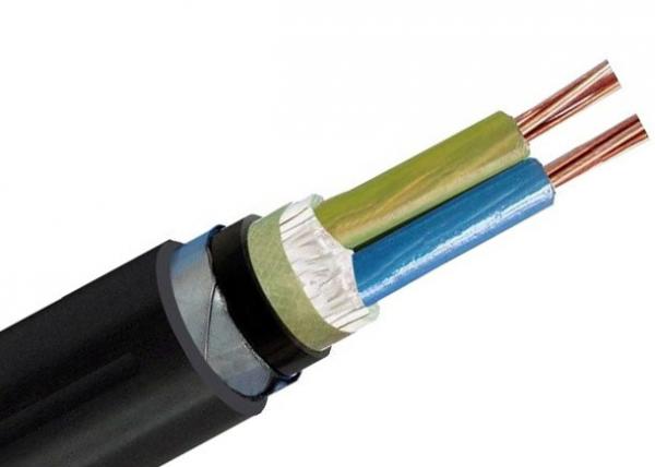  China Low Voltage Armoured Power Cable 0.6/1kV 2 Core Cu / XLPE / STA / PVC IEC supplier