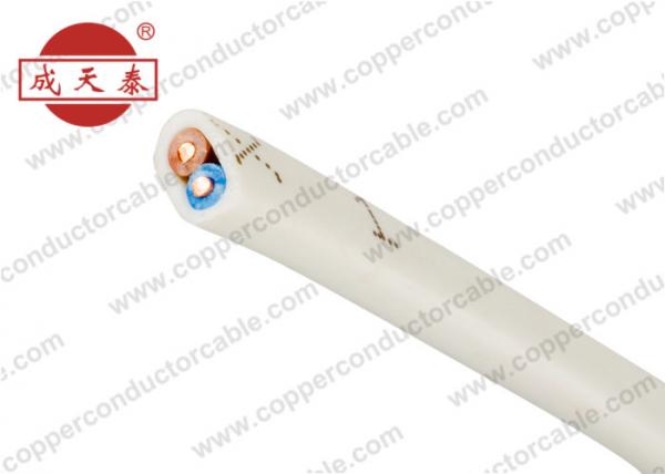 Twin Core Copper Building Wire For House 300 / 500V