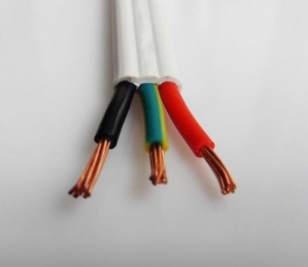  China AS/NZS 5000.2 Flat TPS 2C+E Cable with Australia Standard supplier