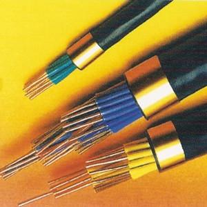  China XlPE insulated Silicon Rubber Control Cable supplier