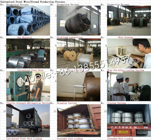  China 100% direct factory &exportor for Galvanized steel wire strand for rope,ACSR ,Messenger supplier