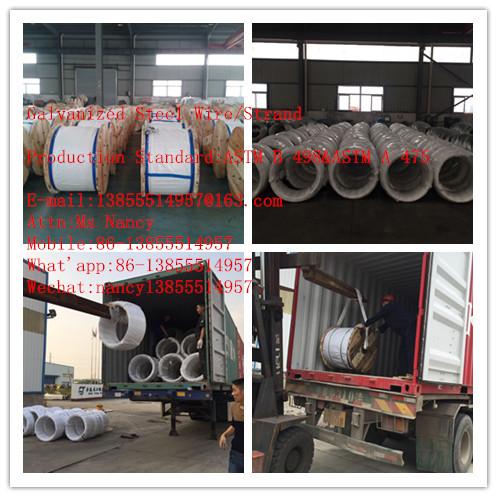  China 1.68mm/1.93mm/2.67mm/3.09mm/3.37mm/3.66mm Galvanized Steel Core Wire for ACSR Conductor supplier