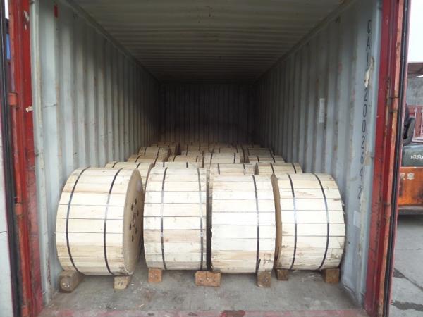 Electric Aluminium Clad Steel Wire Acs as per ASTM B 502