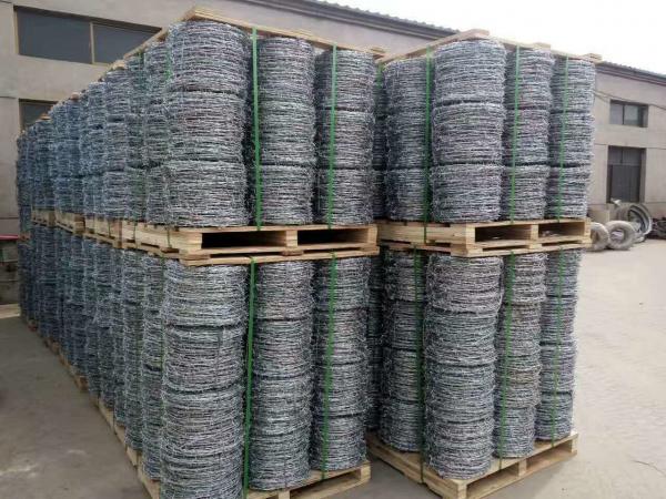  China Hot-dipped Galvanized Barbed Wire for protecting of grass boundary, railway, highway, prison, etc. supplier