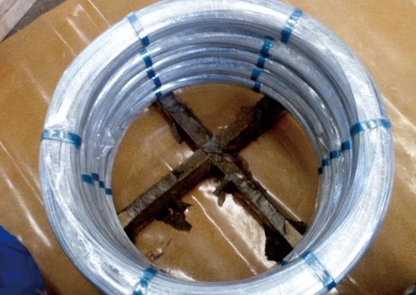 Oval Galvanized Steel Wire for cattle