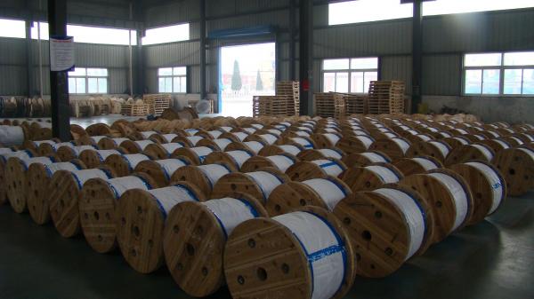  China 1/4 In 1 X 7 EHS Galvanized Steel Guy Wire As Per ASTM A 475 / ASTM A 363 supplier