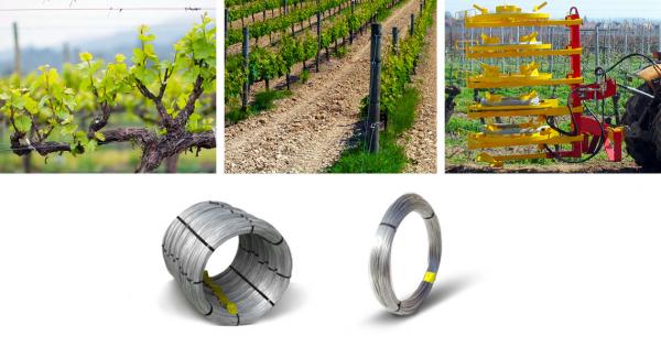 1×2 Galvanized Steel Wire For Agriculture , Galvanized Stranded Steel Wire