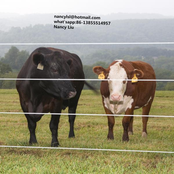  China Cattle Strand Steel Wire Cable 8.25mm 7 Strand Fence Wire High Tensile Strength supplier