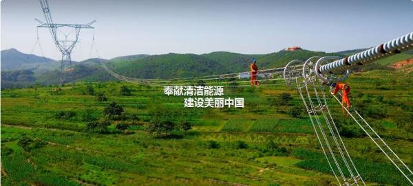 Ehs Galvanized Steel Strand ASTM A475 ASTM a 363 ASTM B498 BS183 BS443