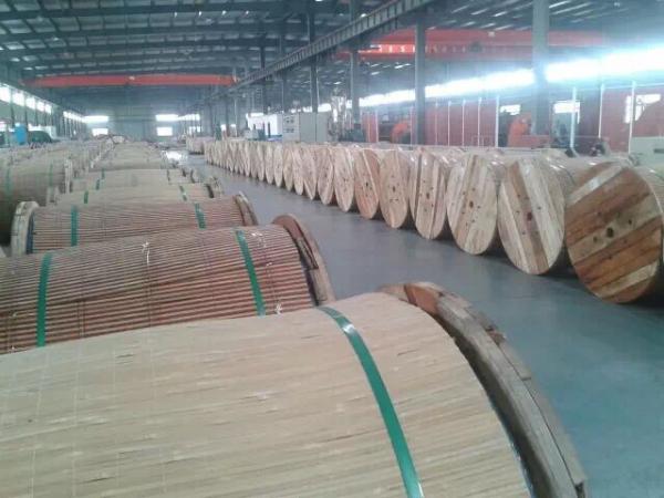 Long Life Aluminium Conductor Steel Reinforced Cable With Longer Spans