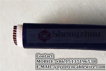  China 0.6/1 kV Single Core Power Cable (YJV) supplier