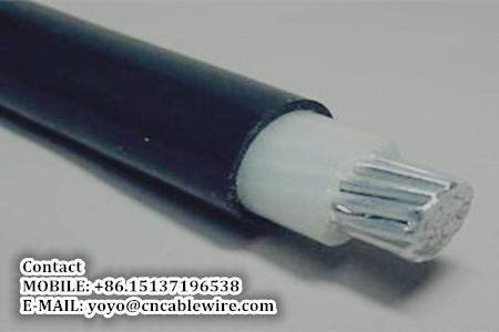  China 0.6/1KV Aluminum XLPE Power Cable supplier