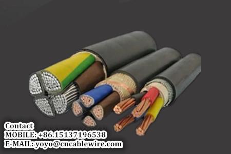  China 0.6/1KV Copper PVC Power Cable supplier