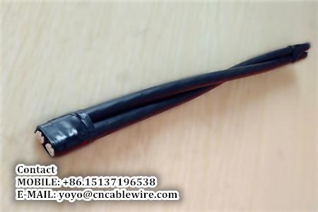  China 2 Core ABC Cable supplier
