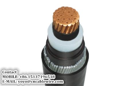  China Armored Power Cable supplier