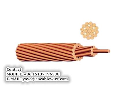  China Bare Copper Conductor supplier