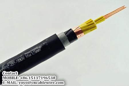  China Plastic Insulated Control Cable supplier