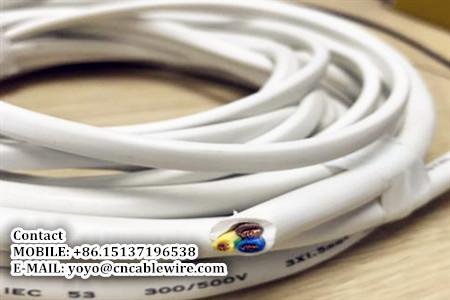  China RVV Cable supplier