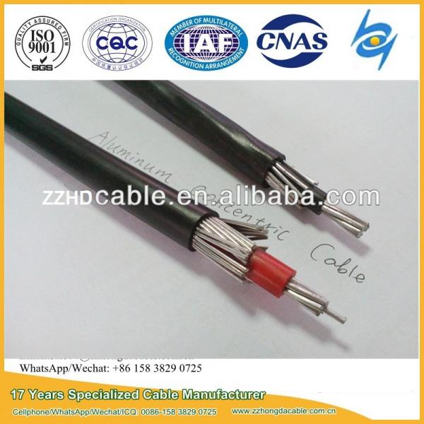  China Al 8000 Series 2X8AWG, 2X10AWG, 2X6AWG, 3X8AWG Aluminum Concentric Cable supplier