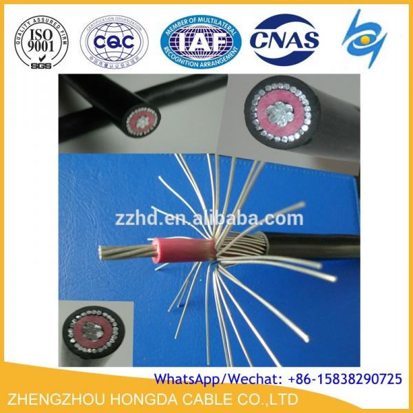  China LV 2X6AWG PVC Insulated Aluminum Service Drop Concentric Cable supplier