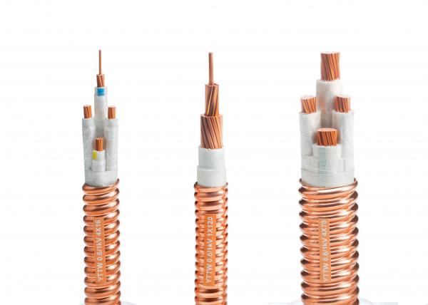  China 2×2.5mm2 IEC 60331 Fire Resistant Cable Copper Metallic Sheath supplier