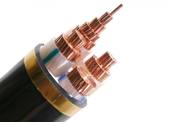  China 70Sqmm Concentric Conductor XLPE Insulated Power Cable YJV N2XCY supplier