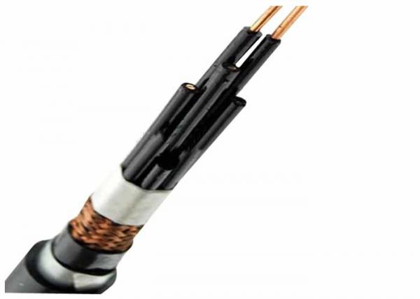  China Armored Control Cables Applicable To 450 / 750V And Below The Multi-Core supplier