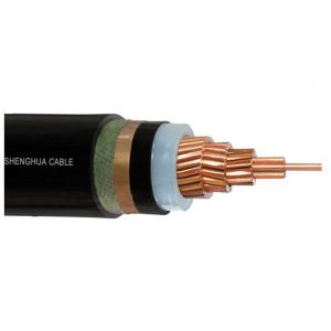  China IEC Black XLPE Insulated Unshielded/Shielded Power Cable supplier