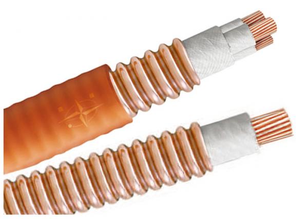  China Light Load Multicore High Temperature Cable BTTW 500V BS IEC Certification supplier