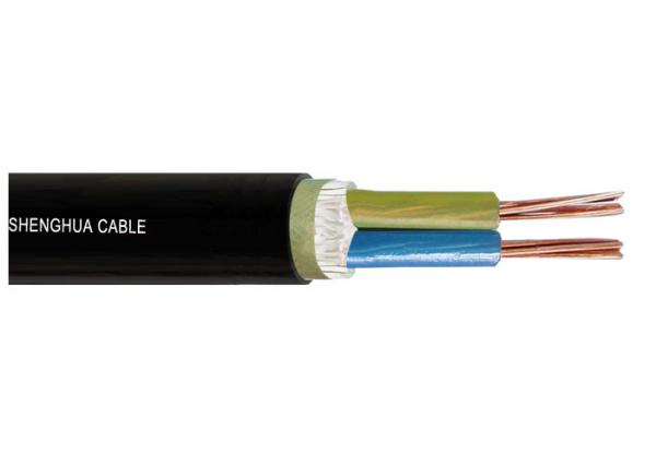 Low voltage 0.6/1kV XLPE Insulated Power cable IEC standard Two Cores